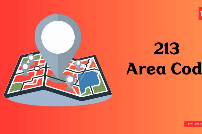 213 Area Code